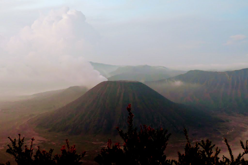 bromo