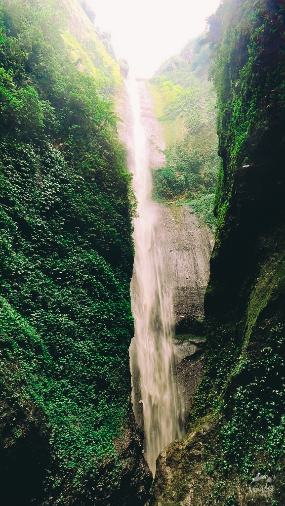 bromo_madakaripura_waterfalls_10-logo