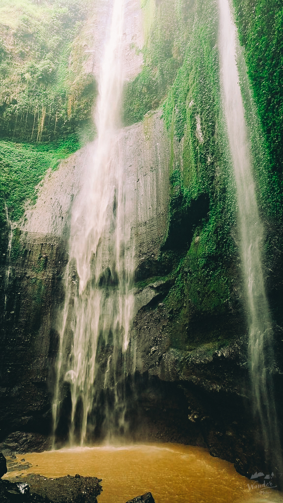 madakaripura, bromo, indonesia, เที่ยว, อินโดนีเซีย, โบรโม, โบรโม่, คาวาอีเจี้ยน, คาวาห์อีเจี้ยน, probolingo, ท่องเที่ยว, บล็อกเกอร์, รีวิว, เที่ยวอินโด, เที่ยวไหนดี