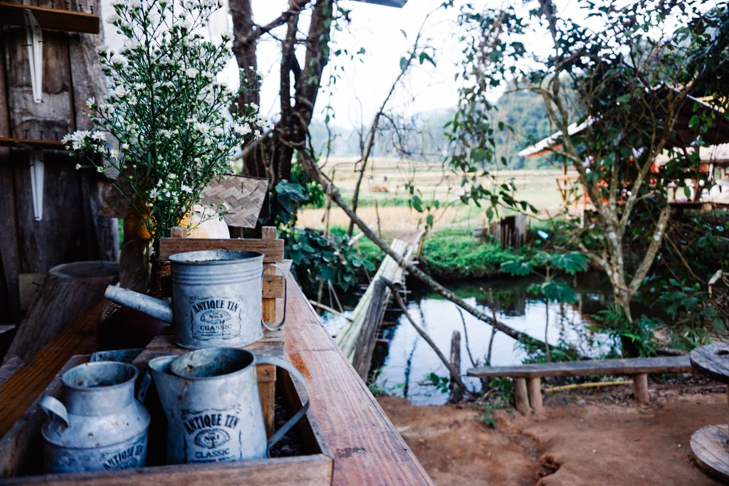 dsc04097_1024_683-19