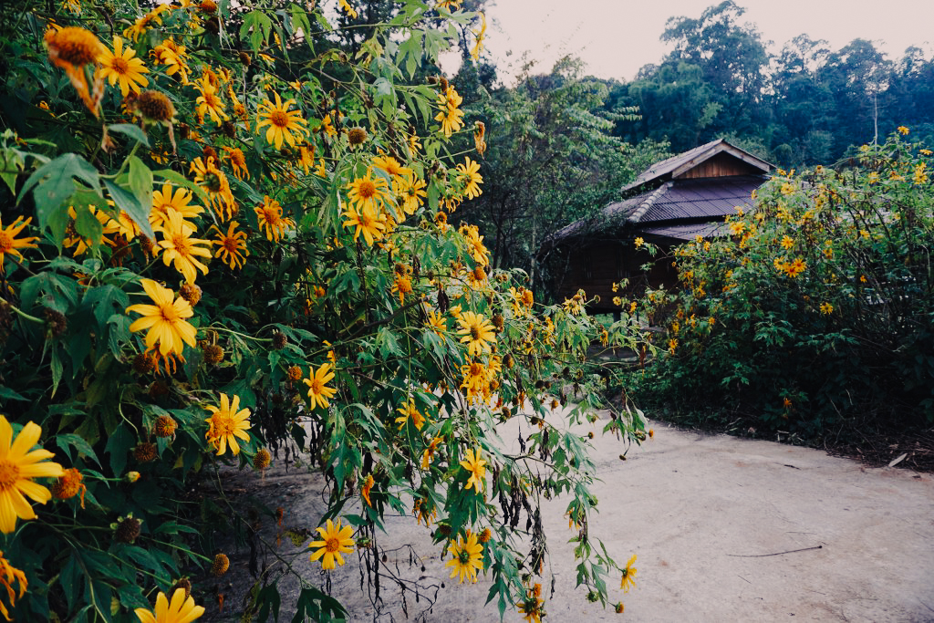 dsc04130_1024_683-31