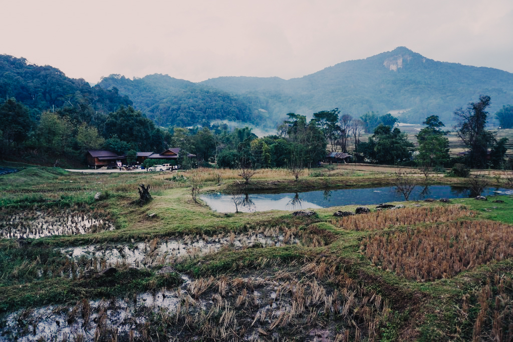 dsc04131_1024_683-32