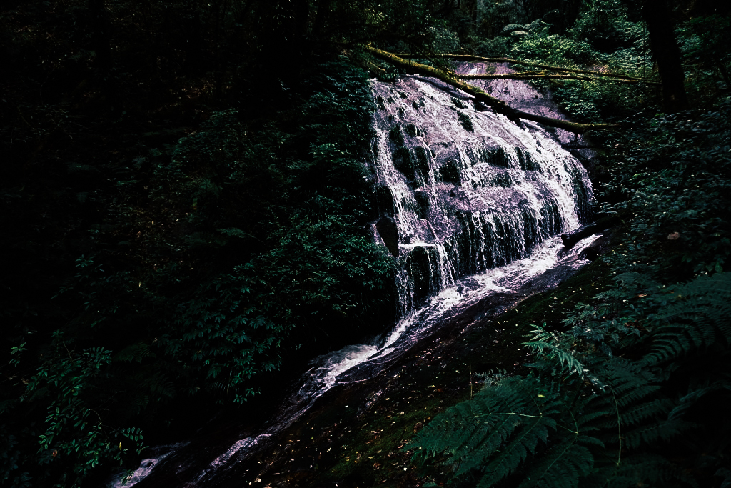 กิ่วแม่ปาน เที่ยวคนเดียว ท่องเที่ยว เดินทาง บล็อกเกอร์ท่องเที่ยว ผจญภัย เชียงใหม่ หน้าหนาว ขึ้นดอย เที่ยวดอย ทะเลหมอก เส้นทางธรรมชาติ