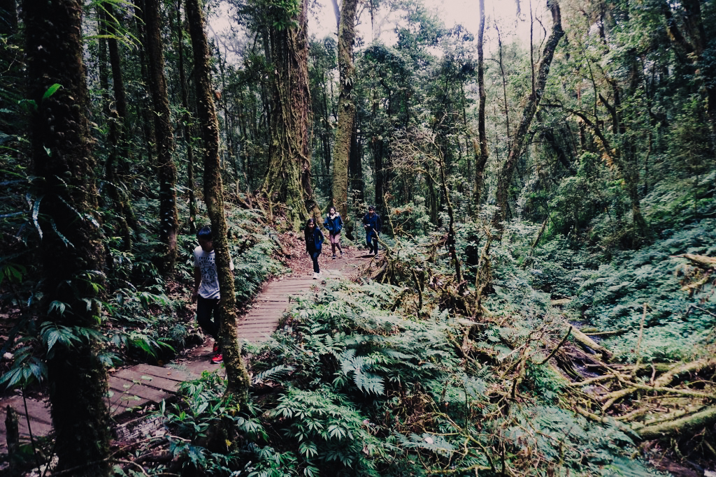 ‘กิ่วแม่ปาน’ มากกว่าทะเลหมอก โดนใจนักท่องเที่ยวสายธรรมชาติ