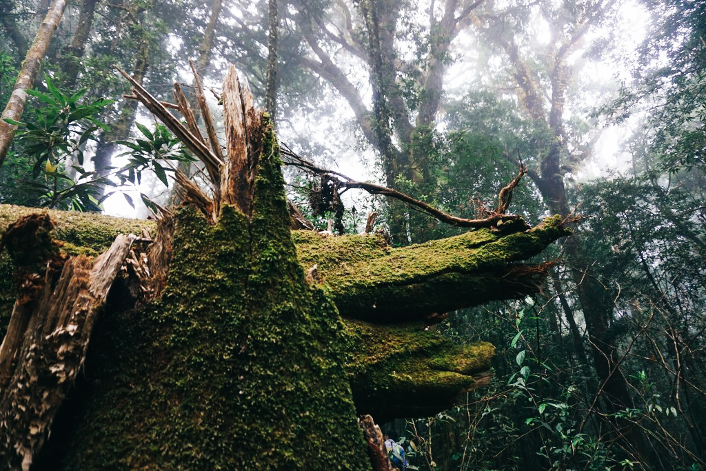 dsc04204_1024_683-21