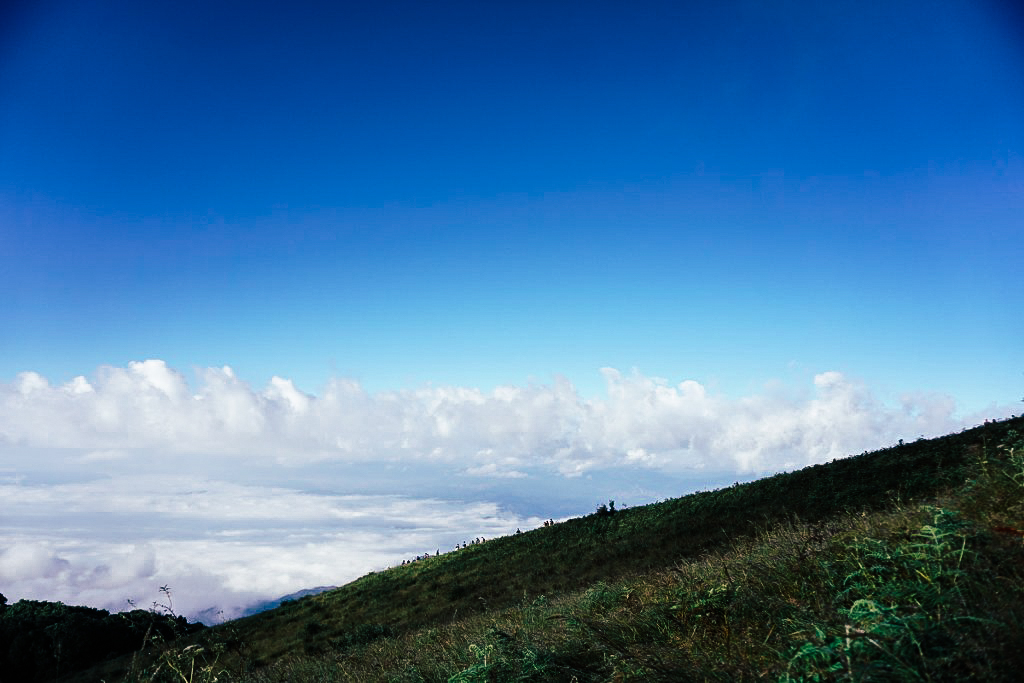 กิ่วแม่ปาน เที่ยวคนเดียว ท่องเที่ยว เดินทาง บล็อกเกอร์ท่องเที่ยว ผจญภัย เชียงใหม่ หน้าหนาว ขึ้นดอย เที่ยวดอย ทะเลหมอก เส้นทางธรรมชาติ