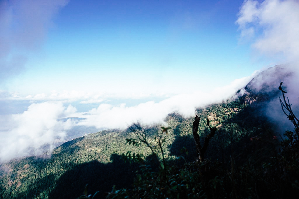 กิ่วแม่ปาน เที่ยวคนเดียว ท่องเที่ยว เดินทาง บล็อกเกอร์ท่องเที่ยว ผจญภัย เชียงใหม่ หน้าหนาว ขึ้นดอย เที่ยวดอย ทะเลหมอก เส้นทางธรรมชาติ