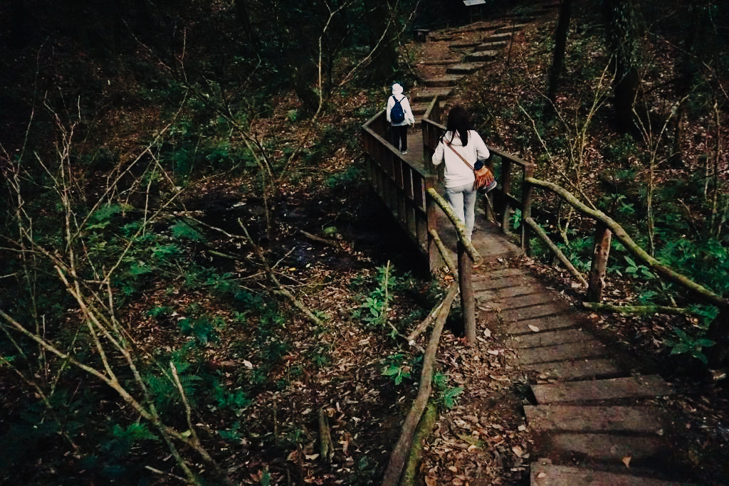 dsc04312_1024_683-34