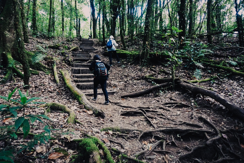 dsc04313_1024_683-35