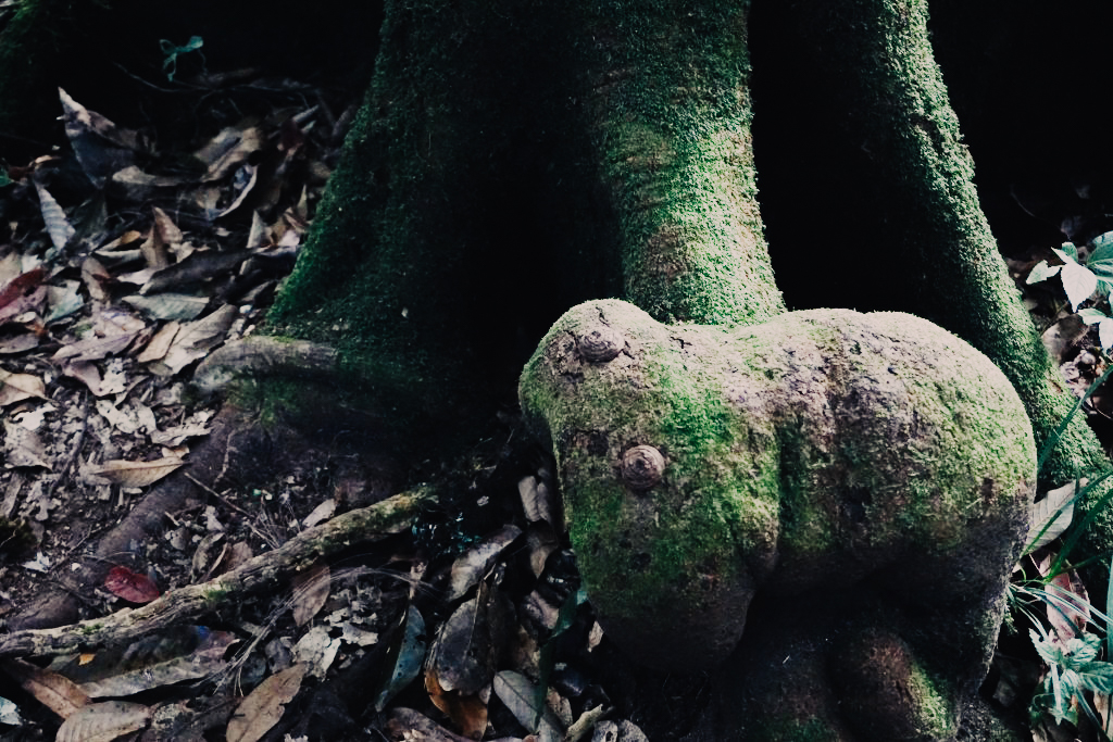 dsc04317_1024_683-37