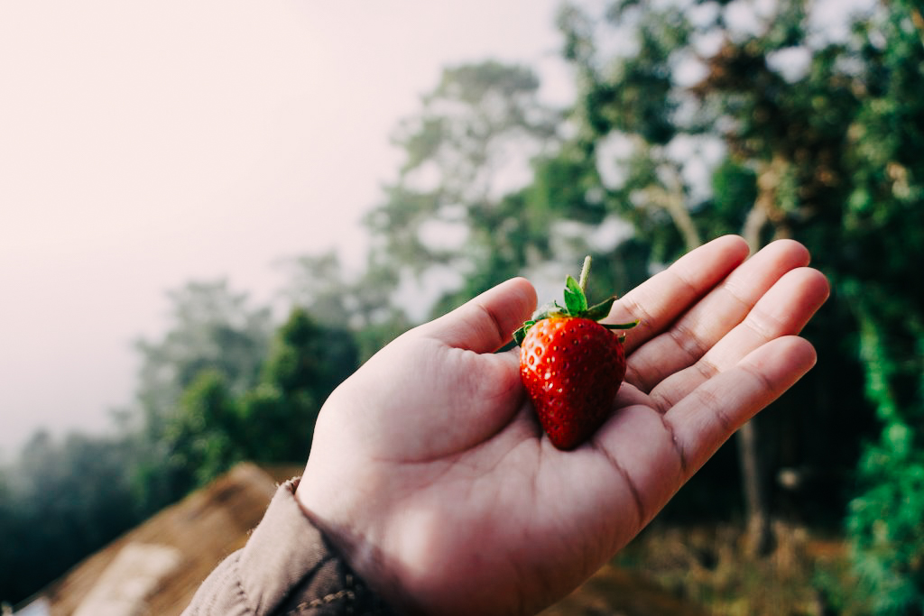 ดอยหลวงเชียงดาว เที่ยวคนเดียว ท่องเที่ยว เดินทาง บล็อกเกอร์ท่องเที่ยว ผจญภัย เชียงใหม่ หน้าหนาว ขึ้นดอย เที่ยวดอย ลีซอวิวสวย 