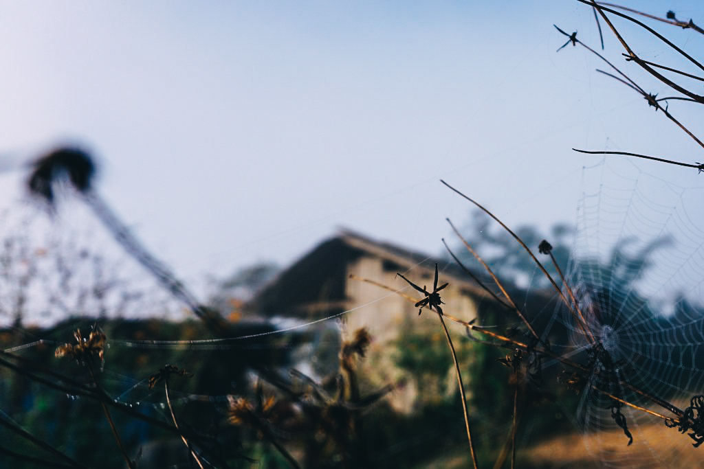 ดอยหลวงเชียงดาว เที่ยวคนเดียว ท่องเที่ยว เดินทาง บล็อกเกอร์ท่องเที่ยว ผจญภัย เชียงใหม่ หน้าหนาว ขึ้นดอย เที่ยวดอย ลีซอวิวสวย 