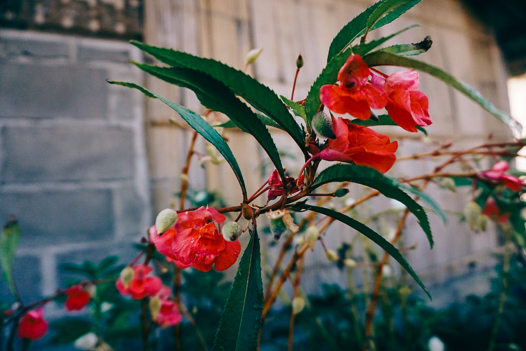 dsc04411_1024_683-19