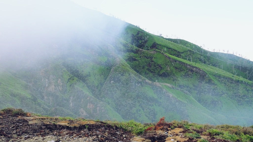 คาวาห์อีเจี้ยน อีเจี้ยน ภูเขาไฟ อินโด อินโดนีเซีย เทรคกิ้ง ปีนเขา เดินเขา เข้าป่า เที่ยวอินโด เที่ยวคนเดียว ท่องเที่ยว เดินทาง บล็อกเกอร์ท่องเที่ยว ผจญภัย wandermore