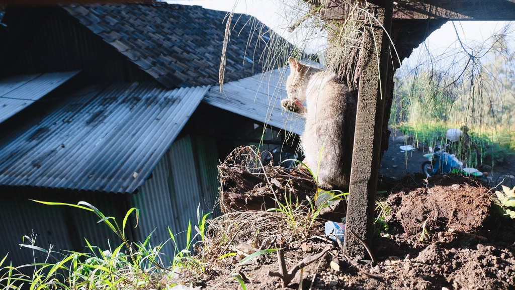 คาวาห์อีเจี้ยน อีเจี้ยน ภูเขาไฟ อินโด อินโดนีเซีย เทรคกิ้ง ปีนเขา เดินเขา เข้าป่า เที่ยวอินโด เที่ยวคนเดียว ท่องเที่ยว เดินทาง บล็อกเกอร์ท่องเที่ยว ผจญภัย wandermore