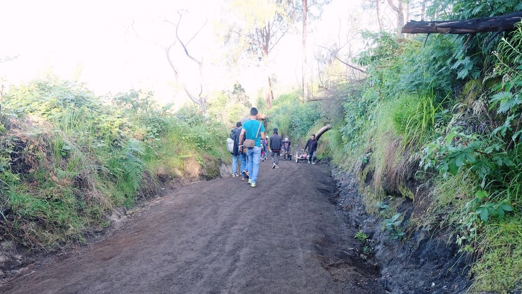 คาวาห์อีเจี้ยน อีเจี้ยน ภูเขาไฟ อินโด อินโดนีเซีย เทรคกิ้ง ปีนเขา เดินเขา เข้าป่า เที่ยวอินโด เที่ยวคนเดียว ท่องเที่ยว เดินทาง บล็อกเกอร์ท่องเที่ยว ผจญภัย wandermore