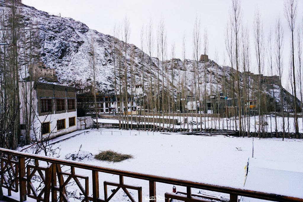 DSC05119_1024_683-18_logo