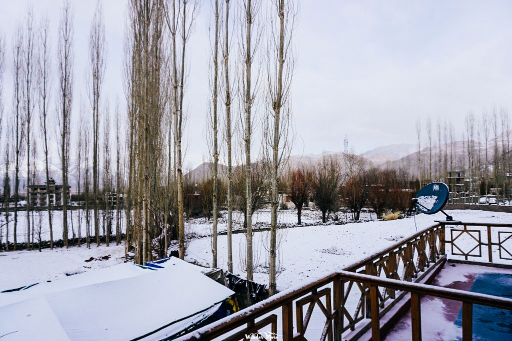 DSC05120_1024_683-19_logo