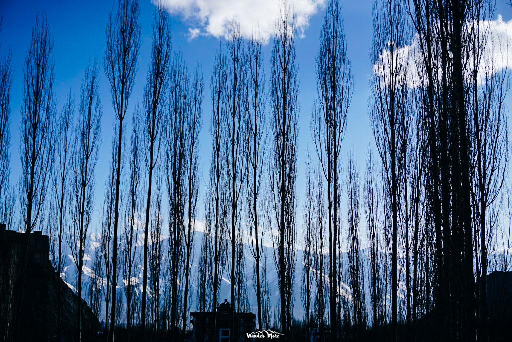 DSC05129_1024_683-4_logo