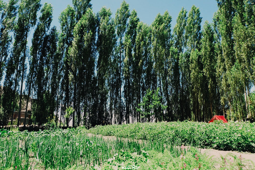 DSCF4067_1024_683-1_logo