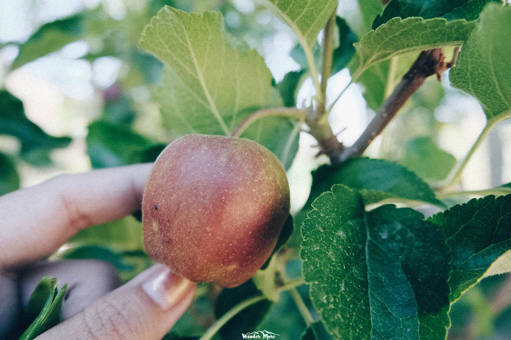 DSCF4083_1024_683_lgo