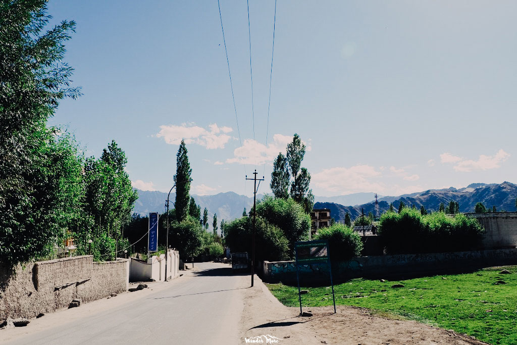 DSCF4108_1024_683-4_logo