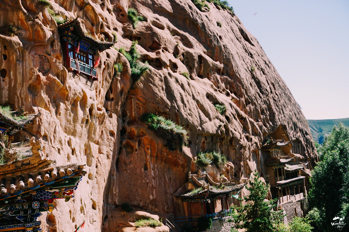 DSC05737_1200_800-7_logo