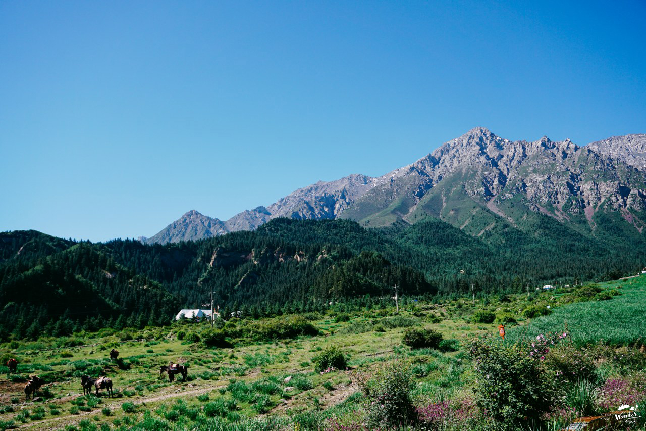 ทะเลทราย badain jaran ผจญภัย เที่ยวคนเดียว จีน เดินทาง เที่ยวจีน ภูเขาสายรุ้ง rainbow mountain zhangye จางเย่ matisi temple