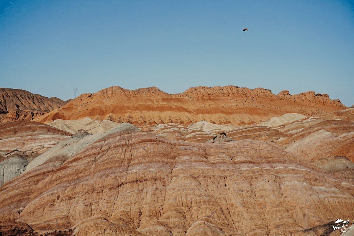 DSC05904_1200_800-2_logo