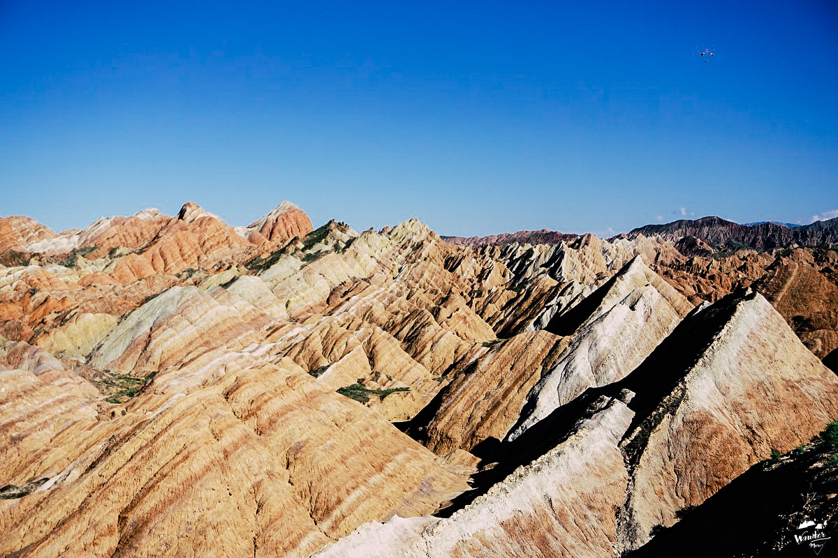 DSC05910_1200_800-1_logo