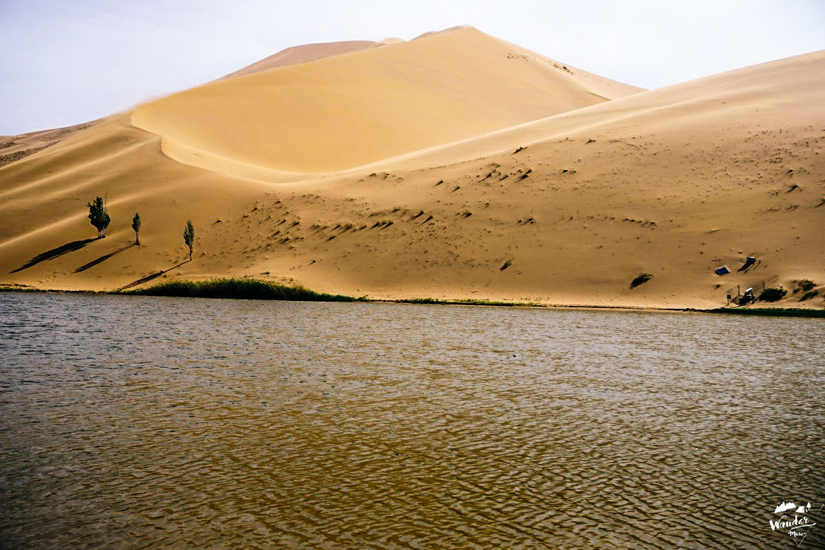 DSC06076_1200_800-11-10_logo