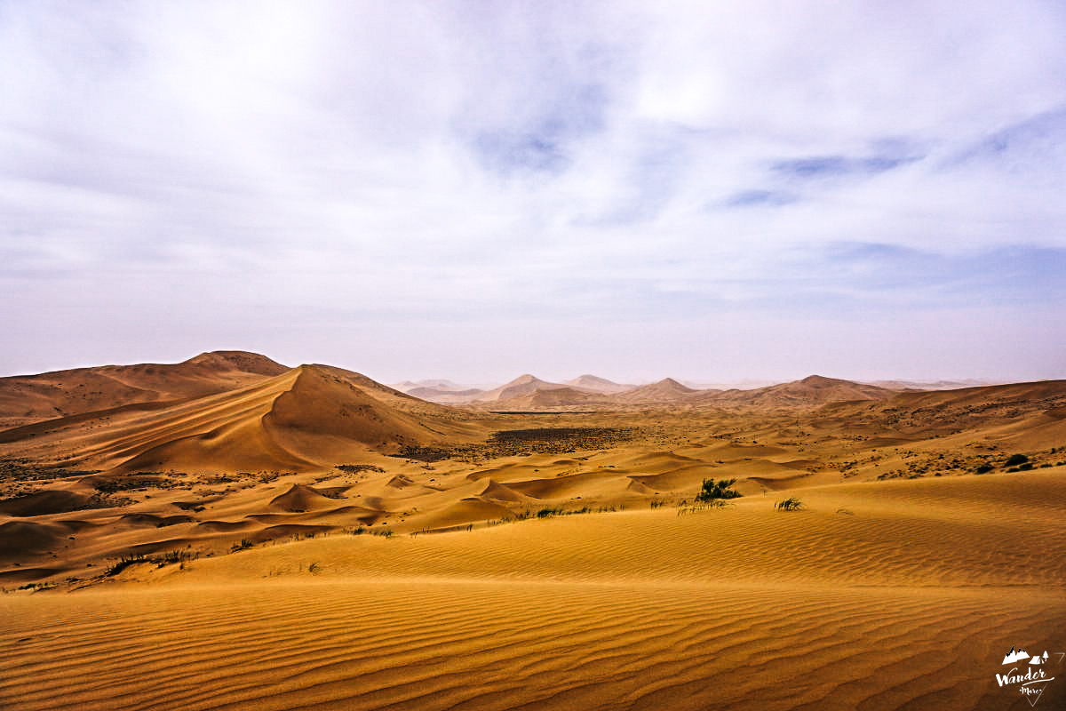 DSC06195_1200_800-48-36_logo