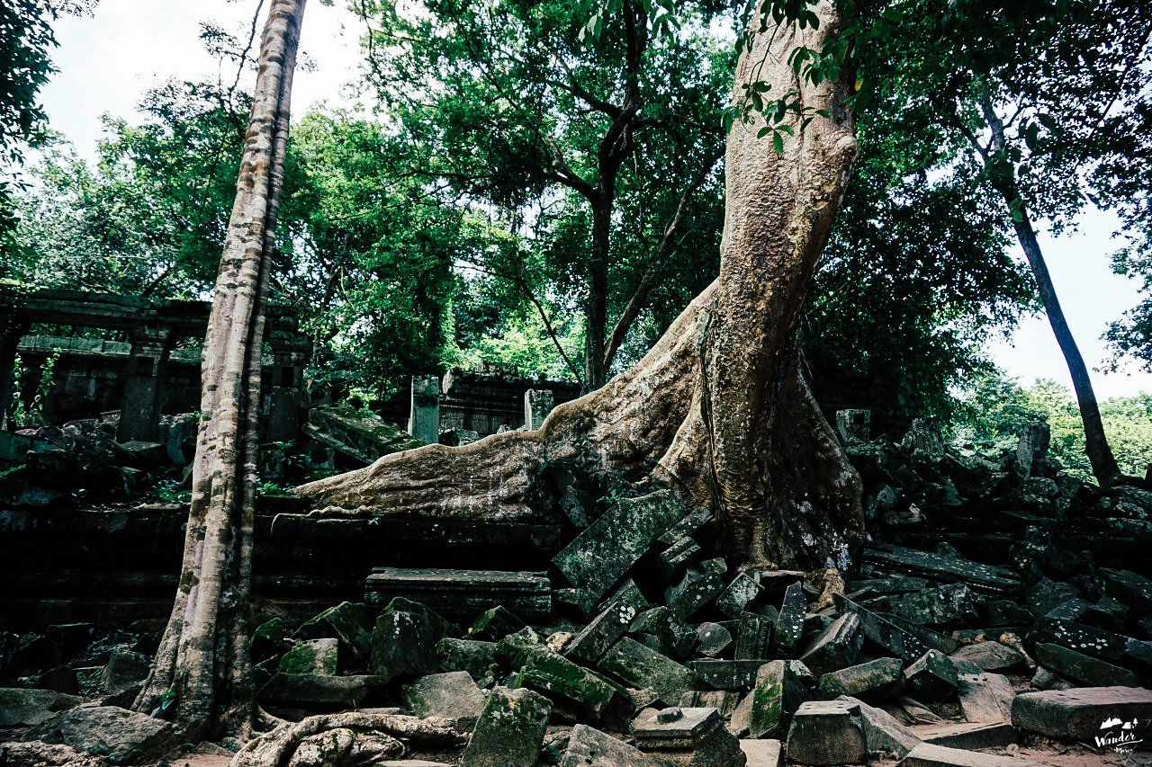 เบ็งมีเลีย beng melea นครวัด ปราสาทตาพรหม taphrom ผจญภัย เที่ยวคนเดียว กัมพูชา เดินทาง อังกอร์วัด tomb raider angkor wat  เที่ยวกัมพูชา เสียมเรียบ