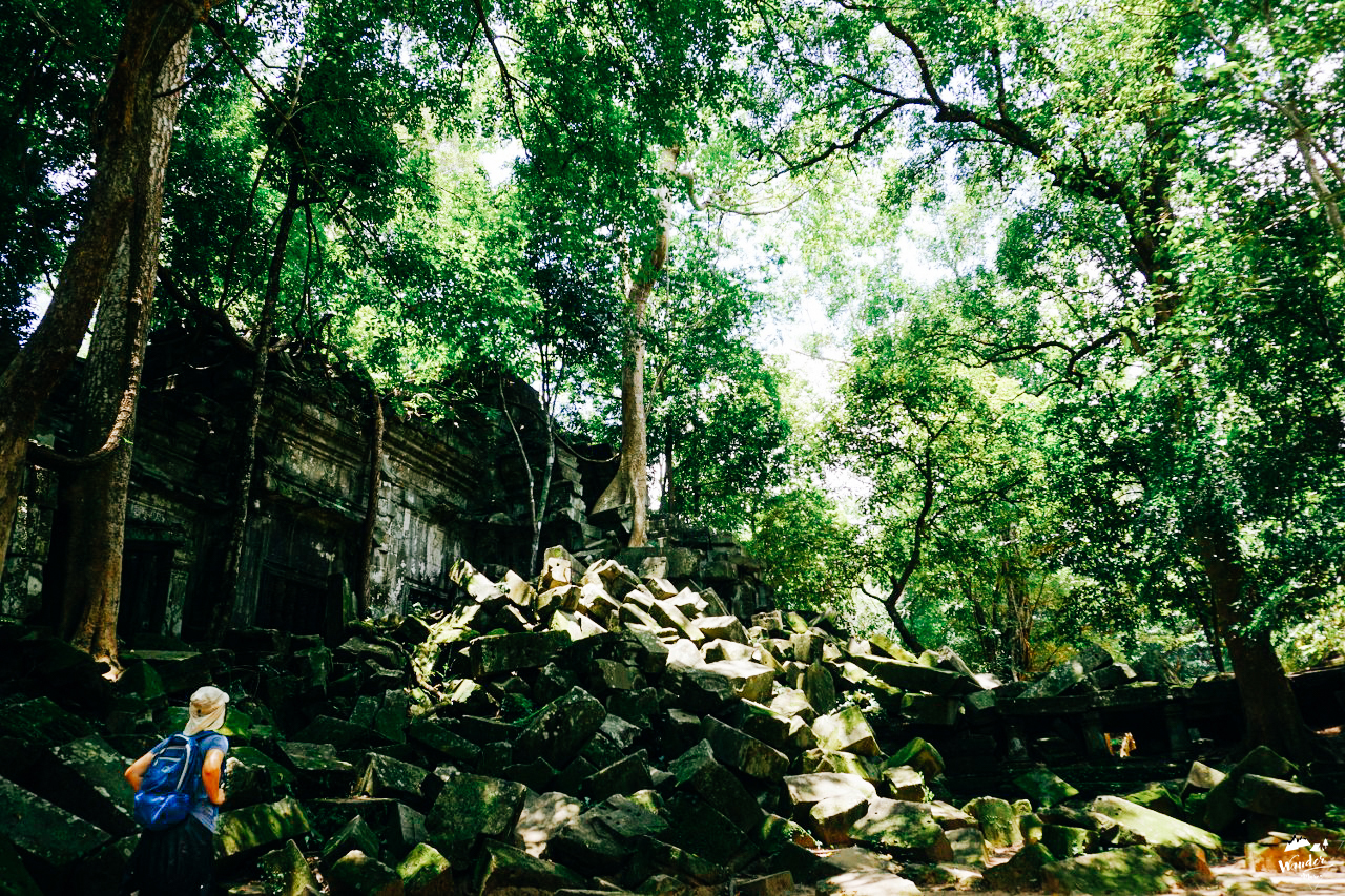 DSC06476_1280_853-8_logo