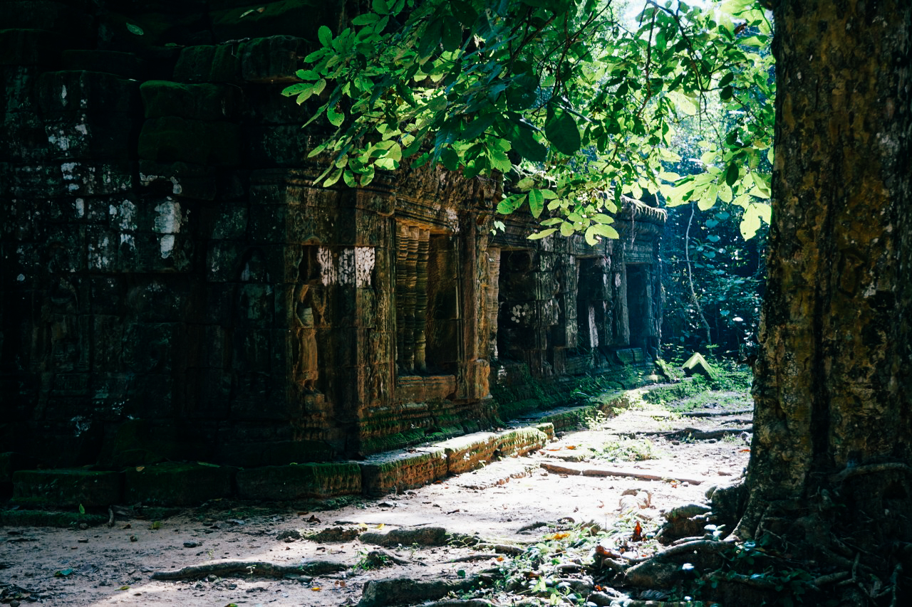 เที่ยวคนเดียว ถ่ายภาพ ถ่ายรูปตัวเอง เทรคกิ้ง ผจญภัย 