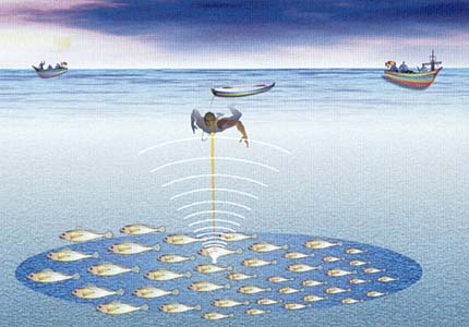 ดูหลำ by นิตยสารสารคดี