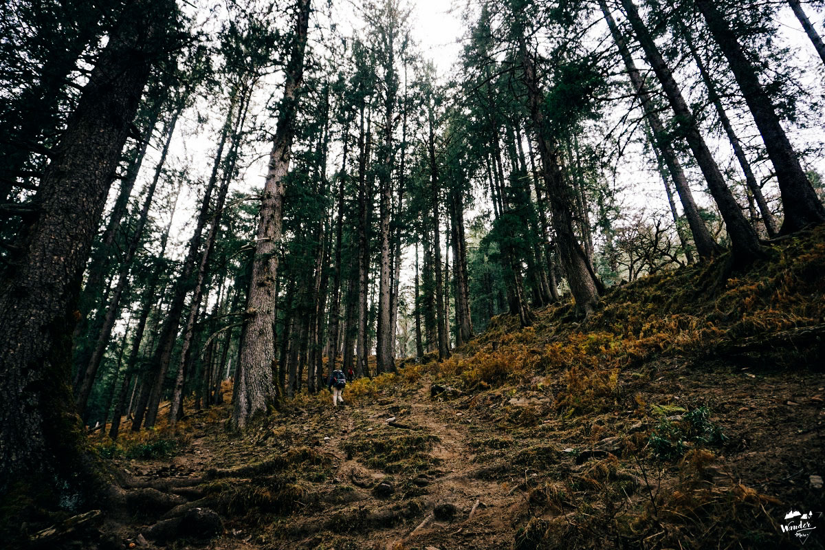 DSC07006_1200x800-6_logo