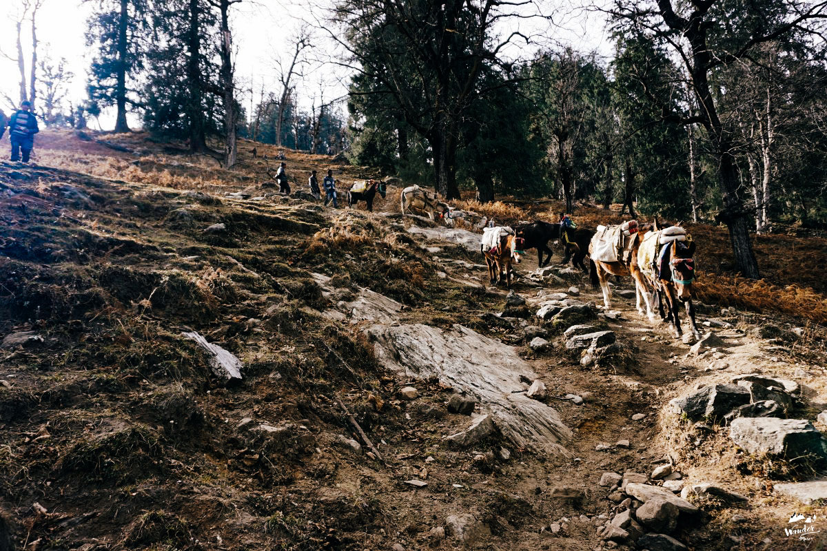 DSC07010_1200x800-10_logo