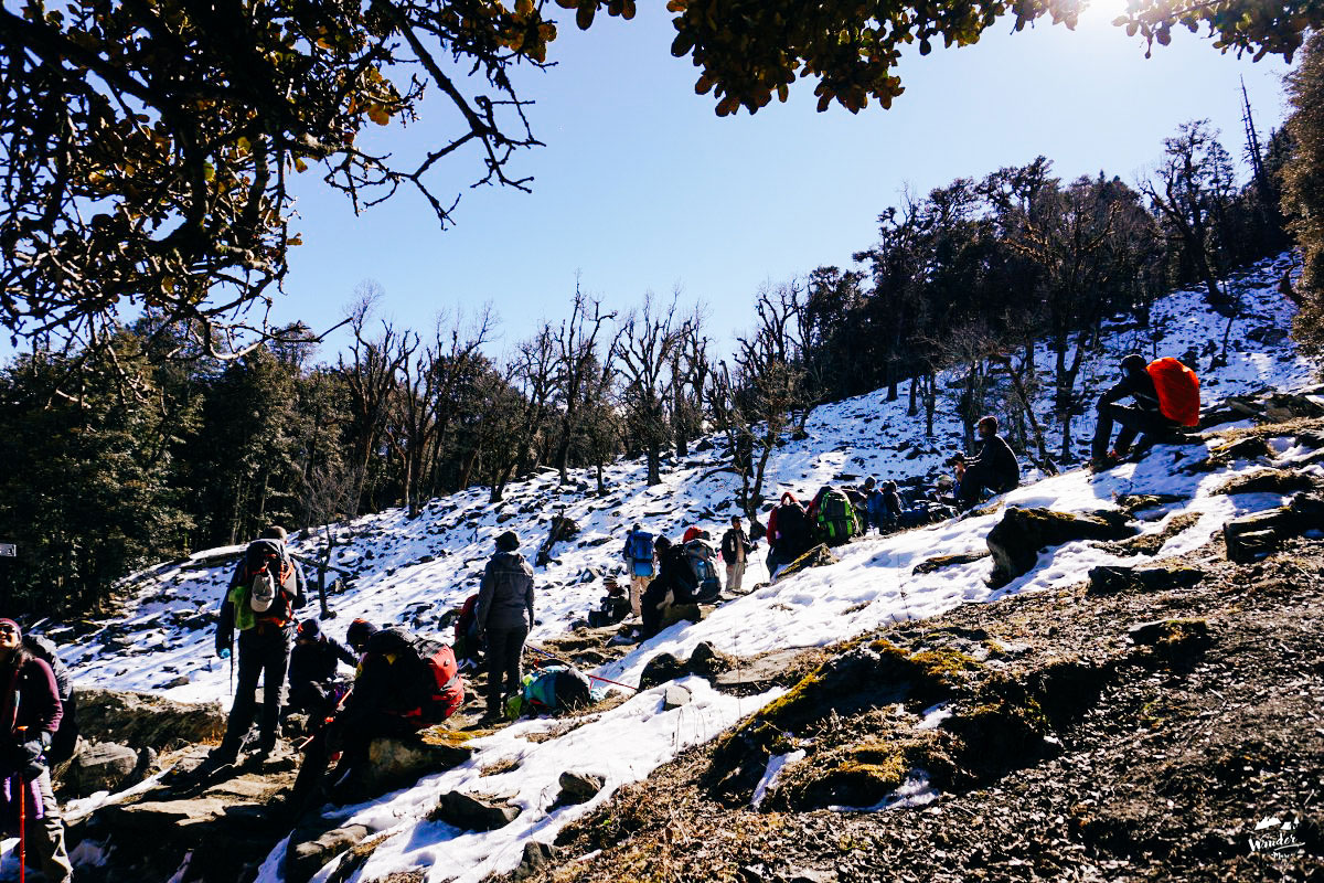 DSC07041_1200x800-41_logo