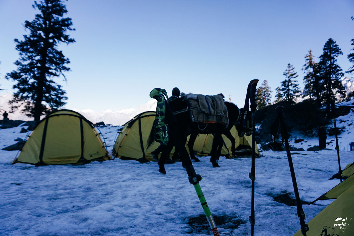 DSC07043_1200x800-43_logo