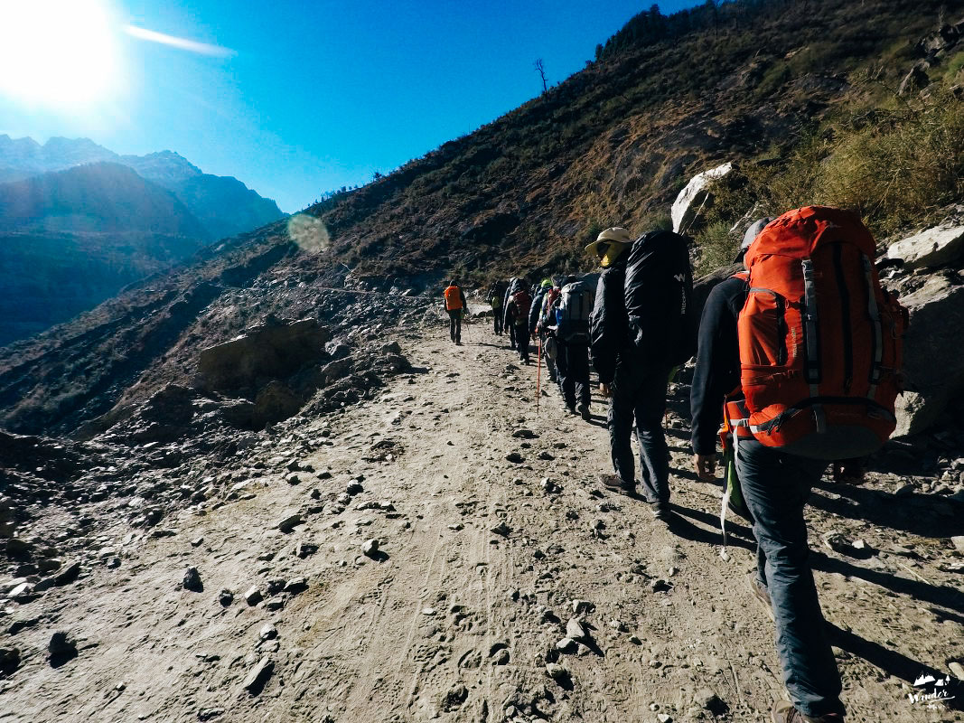 G0060081_1067x800-5_logo