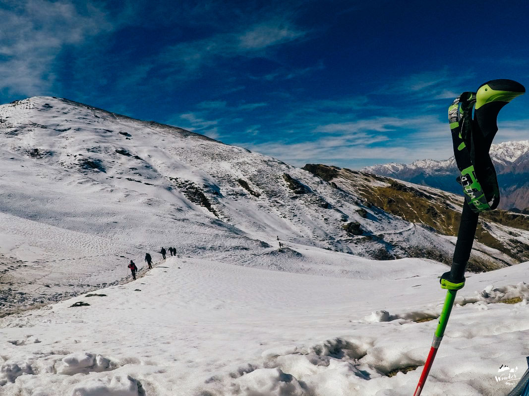 G0420199_1067x800-98_logo