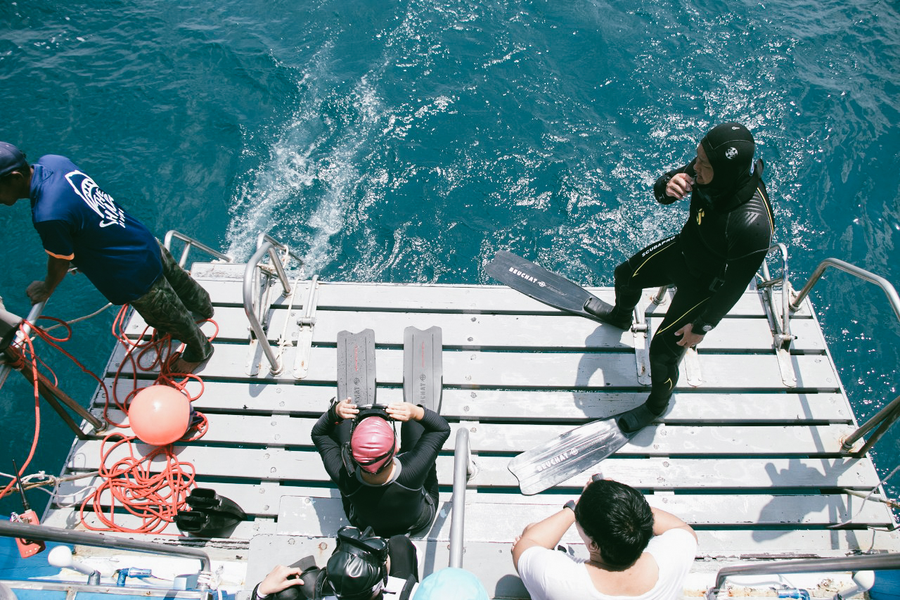 เที่ยวคนเดียว, บล็อกเกอร์ท่องเที่ยว, บล็อกเกอร์สาว, ท่องเที่ยว, ผจญภัย, ลุยเดี่ยว, บล็อกเกอร์สายเที่ยว, เทรคกิ้ง, ปีนเขา, ดำน้ำ, ฟรีไดฟ์, ร้านฟรีไ, ดฟ์, ร้านขายอุปกรณ์ดำน้ำ, กรุงเทพ, ฟินฟรีไดฟ์freediving, freediver, เรียนดำน้ำ, sea, ฟรีไดร์ฟ, เที่ยว, seamastermind, wandermore, ดำน้ำ, แสมสาร