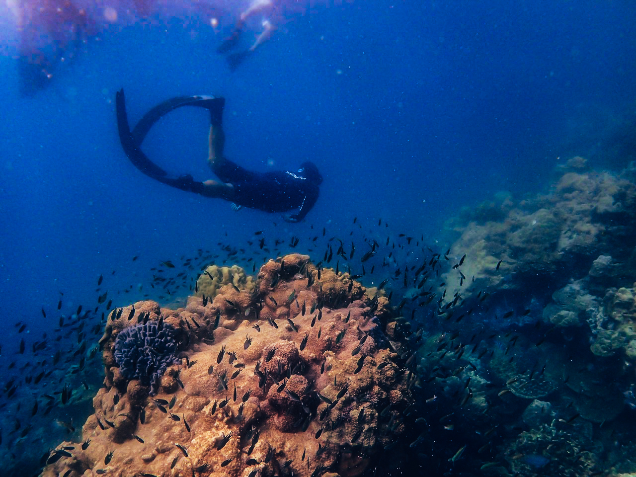 เที่ยวคนเดียว, บล็อกเกอร์ท่องเที่ยว, บล็อกเกอร์สาว, ท่องเที่ยว, ผจญภัย, ลุยเดี่ยว, บล็อกเกอร์สายเที่ยว, เทรคกิ้ง, ปีนเขา, ดำน้ำ, ฟรีไดฟ์, ร้านฟรีไดฟ์, ร้านขายอุปกรณ์ดำน้ำ, กรุงเทพ, ฟินฟรีไดฟ์, freediving, freediver, เรียนดำน้ำ, sea, ฟรีไดร์ฟ, เที่ยว, seamastermind, wandermore, ดำน้ำ, แสมสาร