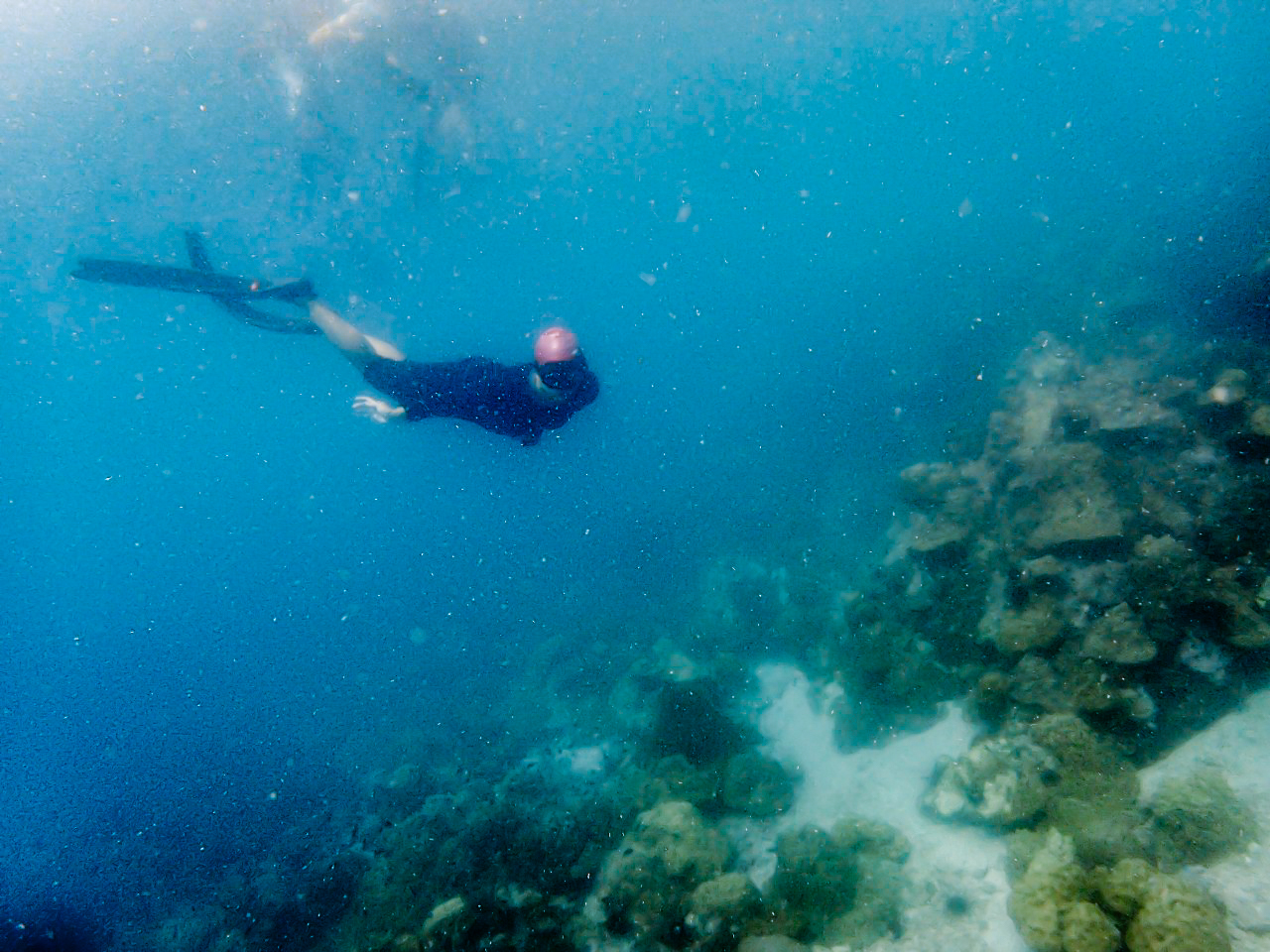 เที่ยวคนเดียว, บล็อกเกอร์ท่องเที่ยว, บล็อกเกอร์สาว, ท่องเที่ยว, ผจญภัย, ลุยเดี่ยว, บล็อกเกอร์สายเที่ยว, เทรคกิ้ง, ปีนเขา, ดำน้ำ, ฟรีไดฟ์, ร้านฟรีไดฟ์, ร้านขายอุปกรณ์ดำน้ำ, กรุงเทพ, ฟินฟรีไดฟ์, freediving, freediver, เรียนดำน้ำ, sea, ฟรีไดร์ฟ, เที่ยว, seamastermind, wandermore, ดำน้ำ, แสมสาร