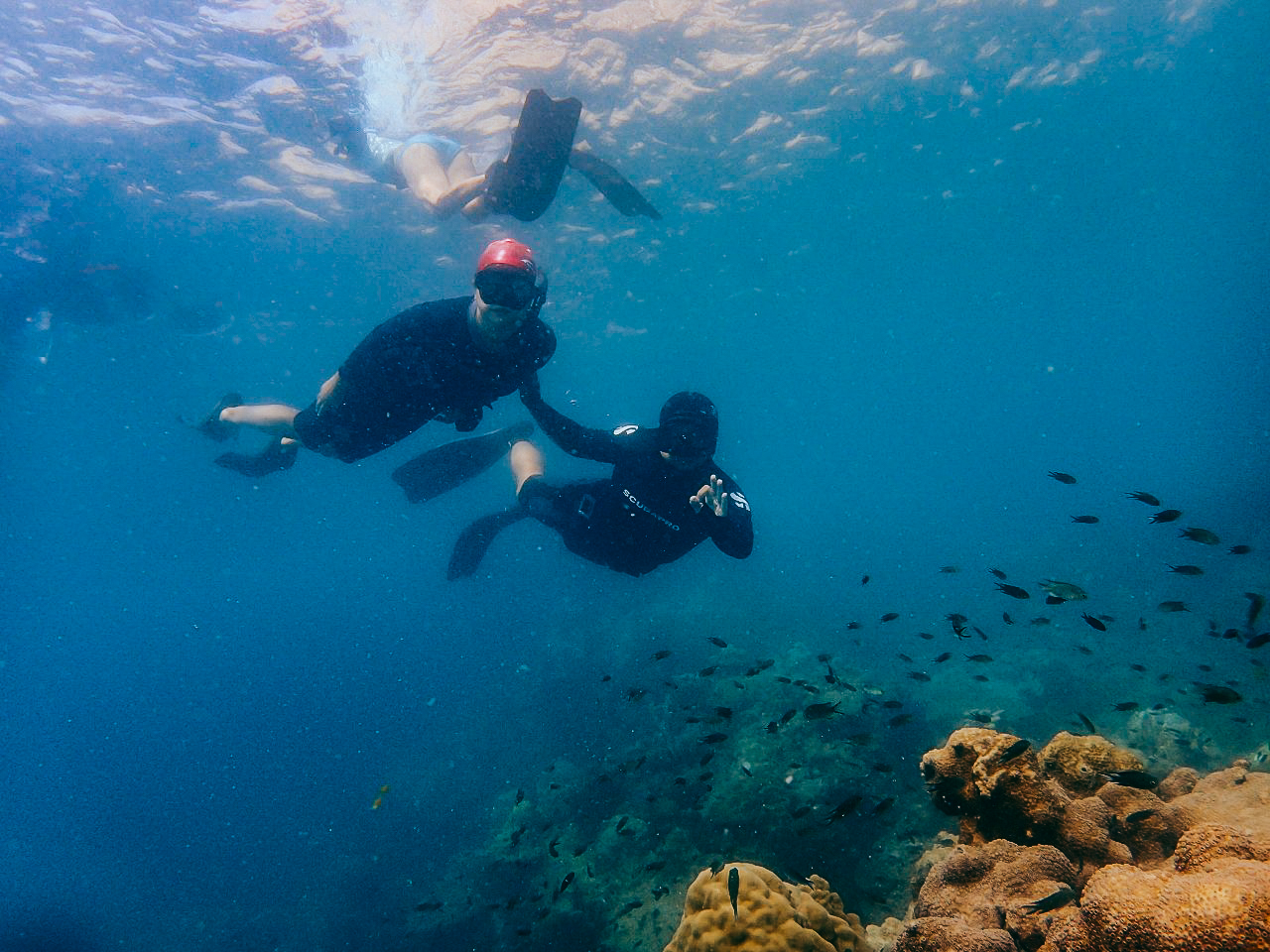 เที่ยวคนเดียว, บล็อกเกอร์ท่องเที่ยว, บล็อกเกอร์สาว, ท่องเที่ยว, ผจญภัย, ลุยเดี่ยว, บล็อกเกอร์สายเที่ยว, เทรคกิ้ง, ปีนเขา, ดำน้ำ, ฟรีไดฟ์, ร้านฟรีไดฟ์, ร้านขายอุปกรณ์ดำน้ำ, กรุงเทพ, ฟินฟรีไดฟ์, freediving, freediver, เรียนดำน้ำ, sea, ฟรีไดร์ฟ, เที่ยว, seamastermind, wandermore, ดำน้ำ, แสมสาร