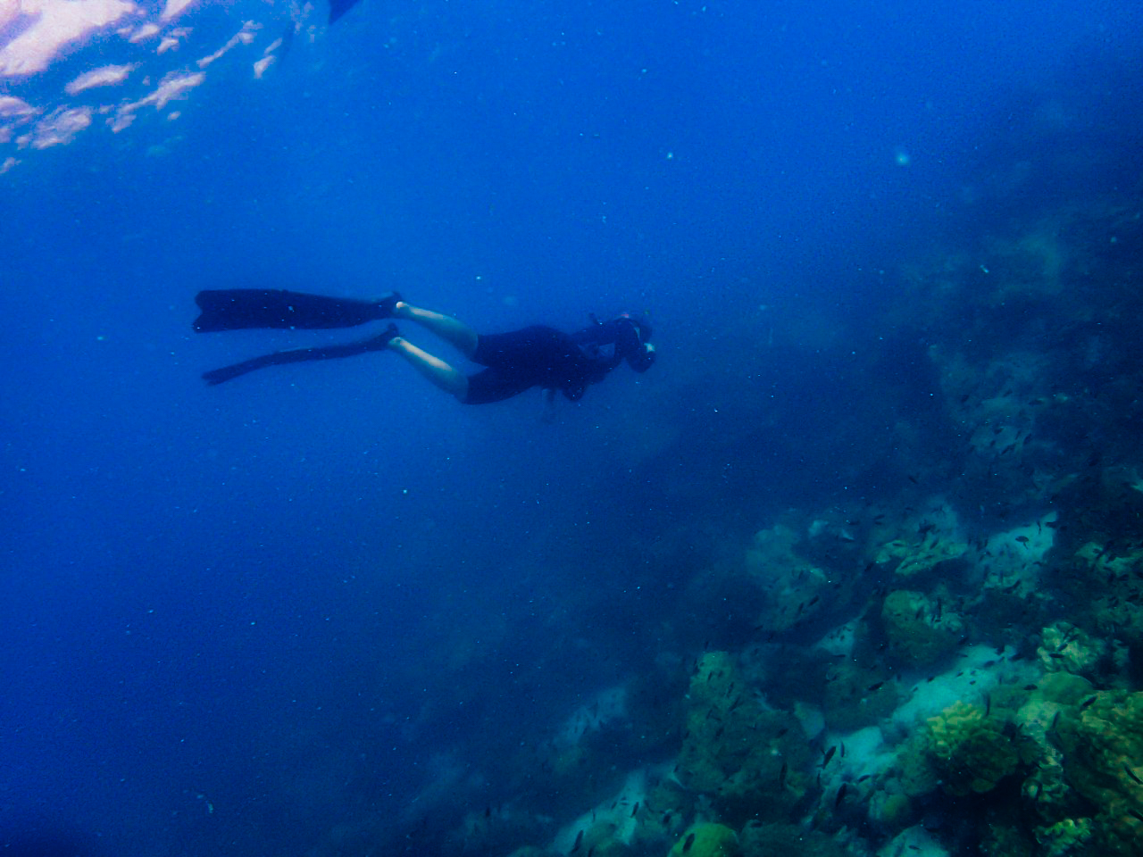 เที่ยวคนเดียว, บล็อกเกอร์ท่องเที่ยว, บล็อกเกอร์สาว, ท่องเที่ยว, ผจญภัย, ลุยเดี่ยว, บล็อกเกอร์สายเที่ยว, เทรคกิ้ง, ปีนเขา, ดำน้ำ, ฟรีไดฟ์, ร้านฟรีไดฟ์, ร้านขายอุปกรณ์ดำน้ำ, กรุงเทพ, ฟินฟรีไดฟ์, freediving, freediver, เรียนดำน้ำ, sea, ฟรีไดร์ฟ, เที่ยว, seamastermind, wandermore, ดำน้ำ, แสมสาร