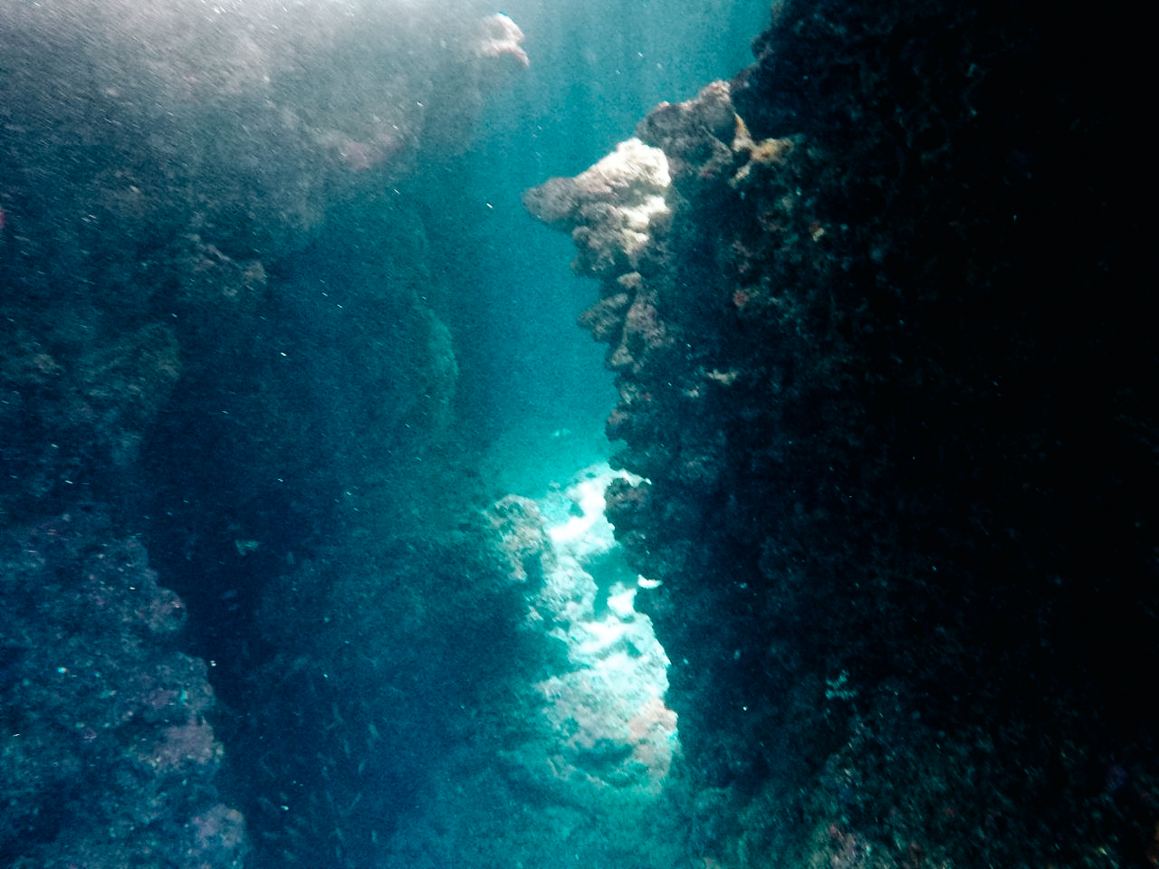 ฟิลิปปินส์, el nido, palawan, เที่ยว, เที่ยวคนเดียว, บล็อกเกอร์ท่องเที่ยว, บล็อกเกอร์สาว, ท่องเที่ยว, ผจญภัย, ลุยเดี่ยว, บล็อกเกอร์สายเที่ยว, เทรคกิ้ง, ปีนเขา, ดำน้ำ, ฟรีไดฟ์, ร้านฟรีไดฟ์, ร้านขายอุปกรณ์ดำน้ำ, กรุงเทพ, ฟินฟรีไดฟ์