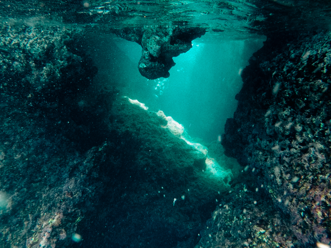 ฟิลิปปินส์, el nido, palawan, เที่ยว, เที่ยวคนเดียว, บล็อกเกอร์ท่องเที่ยว, บล็อกเกอร์สาว, ท่องเที่ยว, ผจญภัย, ลุยเดี่ยว, บล็อกเกอร์สายเที่ยว, เทรคกิ้ง, ปีนเขา, ดำน้ำ, ฟรีไดฟ์, ร้านฟรีไดฟ์, ร้านขายอุปกรณ์ดำน้ำ, กรุงเทพ, ฟินฟรีไดฟ์