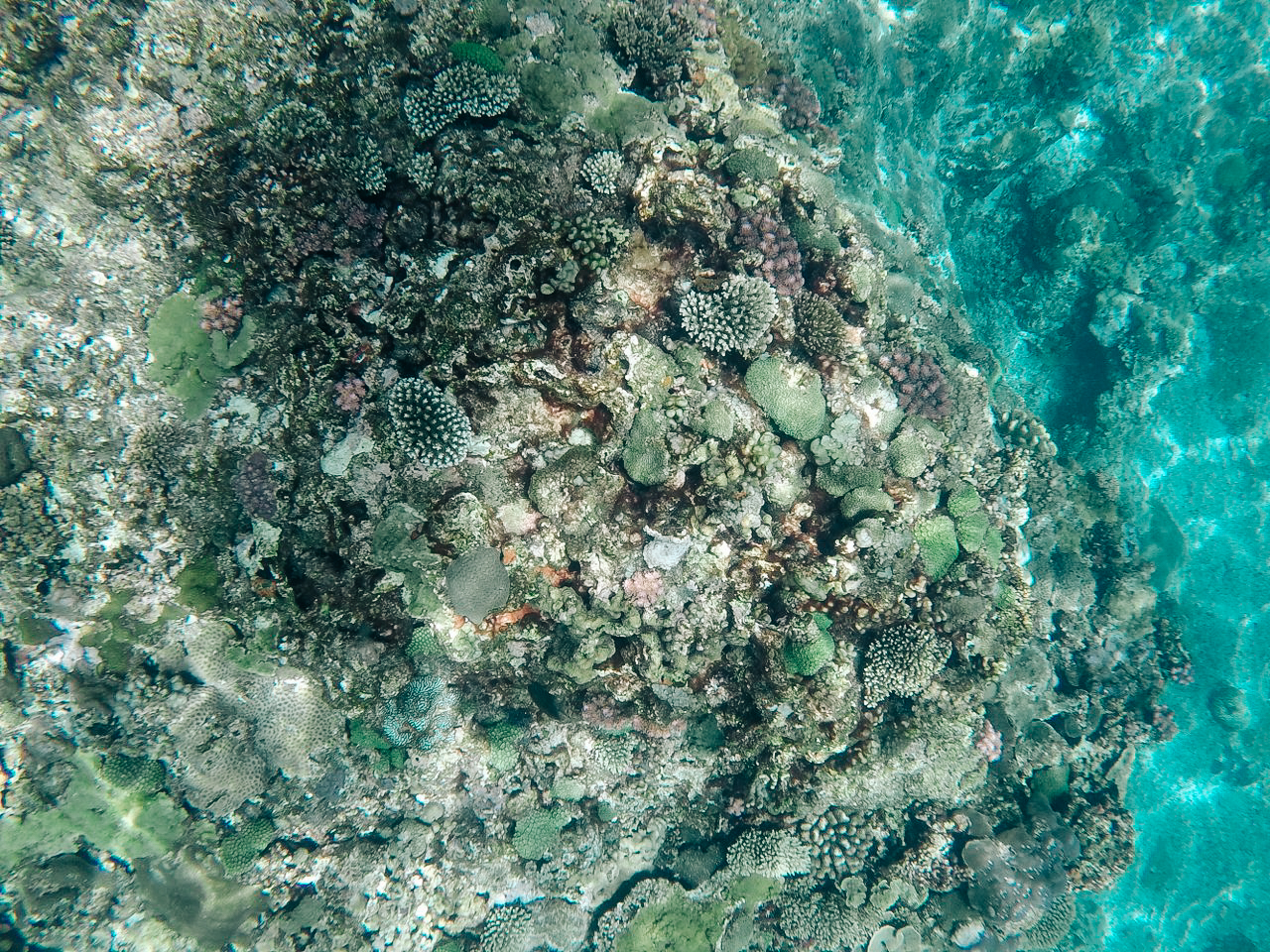 ฟิลิปปินส์, el nido, palawan, เที่ยว, เที่ยวคนเดียว, บล็อกเกอร์ท่องเที่ยว, บล็อกเกอร์สาว, ท่องเที่ยว, ผจญภัย, ลุยเดี่ยว, บล็อกเกอร์สายเที่ยว, เทรคกิ้ง, ปีนเขา, ดำน้ำ, ฟรีไดฟ์, ร้านฟรีไดฟ์, ร้านขายอุปกรณ์ดำน้ำ, กรุงเทพ, ฟินฟรีไดฟ์